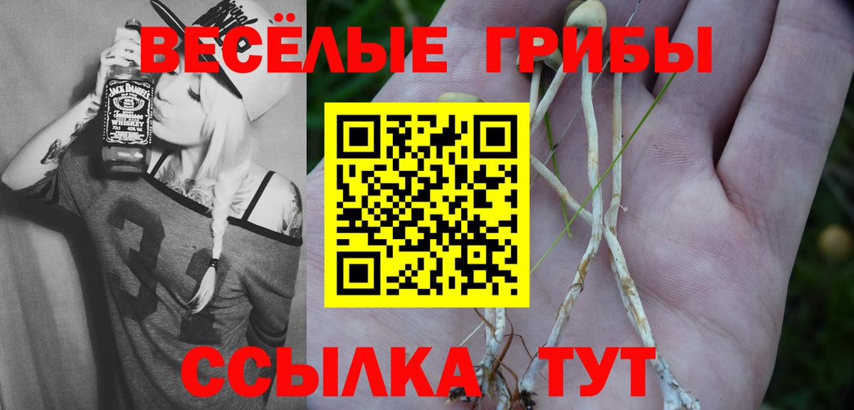 Галлюциногенные грибы MAGIC MUSHROOMS Коряжма